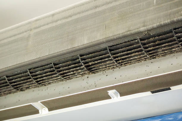 Best Air Duct Sanitization & Disinfection in Shell Point, SC